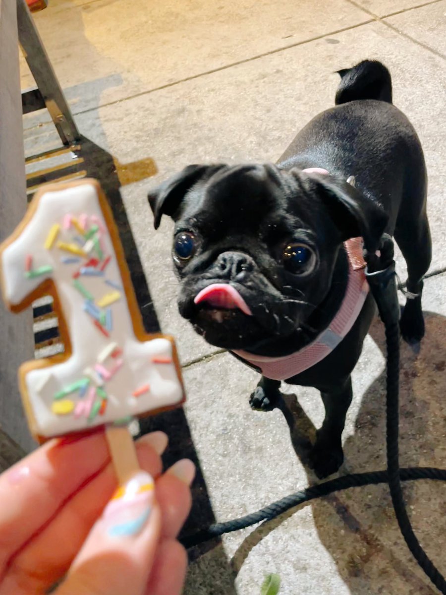 my bb bean is 1 already?!