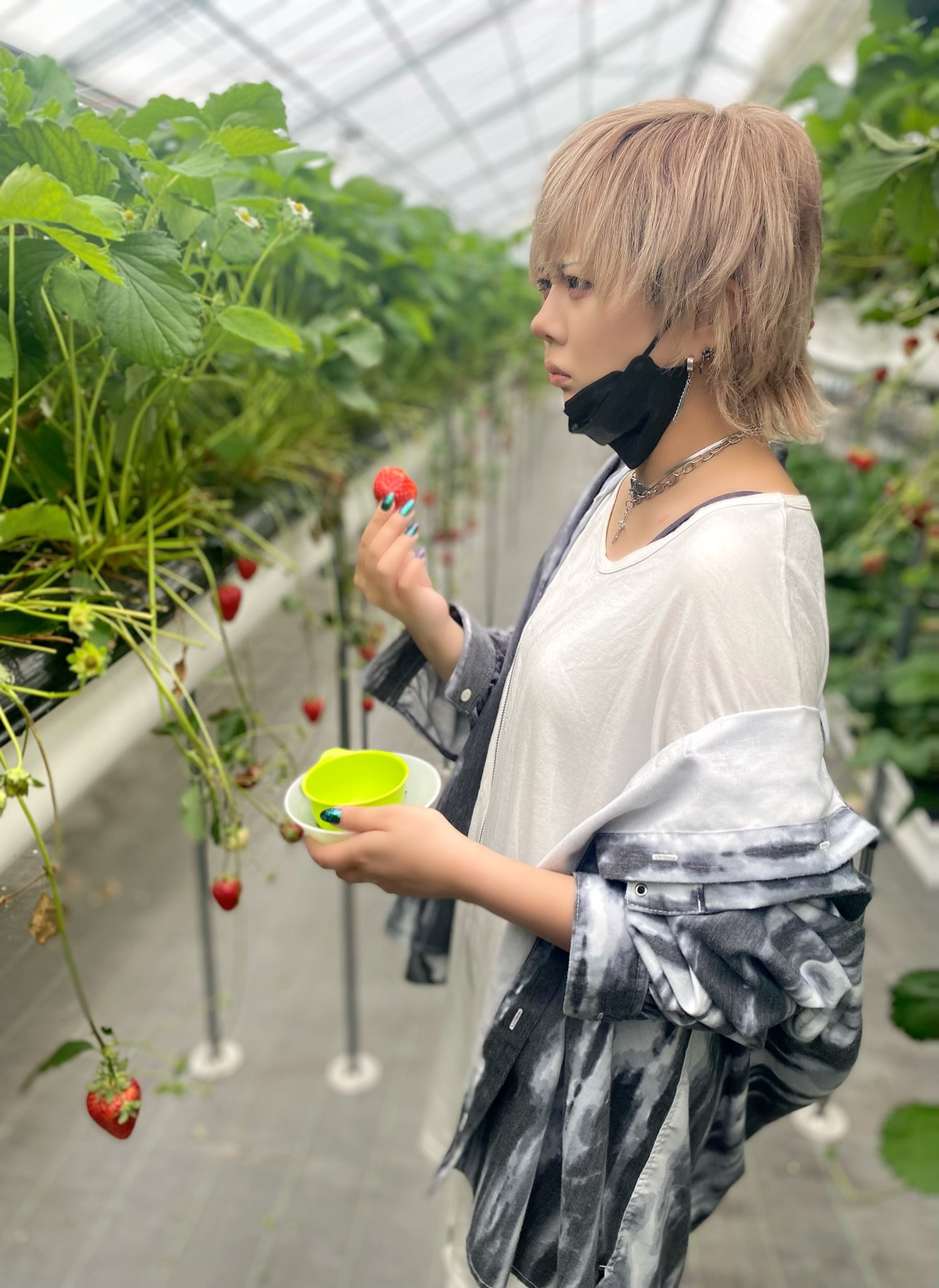 永ennのアリス フォーエイト いちご T Co R7moygm8ax Twitter