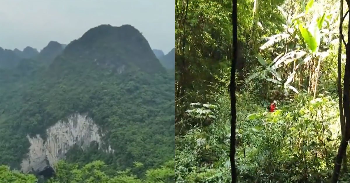 MothershipSG's tweet photo. Cave explorers in China discover 192m deep sinkhole with massive ancient forest inside https://t.co/SYbrUA7wCk https://t.co/YKUKrITHr5