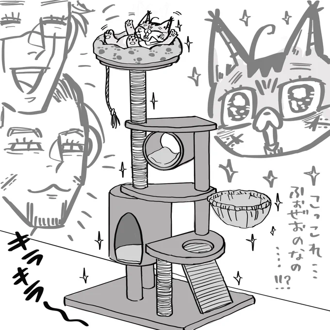 昼の杉尾ん家は、ご飯の後のんびりしていたら大きな宅配便が届いて、杉と尾がなんやかんや組み立てて完成したのはキャットタワーです!
ふわふわハンモックにふかふかベッド、爪研ぎ、紐、小部屋…全部ふぉぜおのだよって言われて、ふぉぜおは嬉しくて嬉しくて夢かと思いました。 