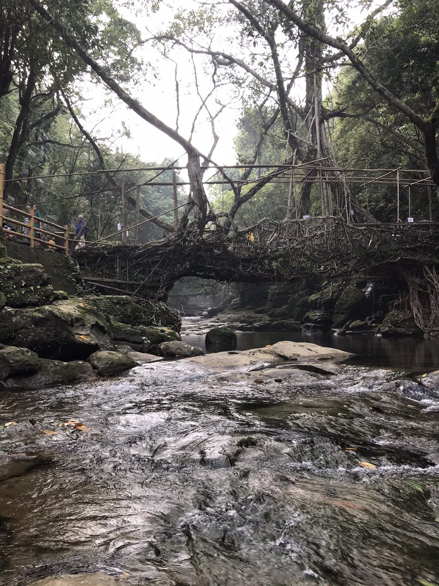 Our talk The Question Concerning Technology in NE India starts in a few minutes. Part of #NERC2022. DM us for Teams link.
#libraryintheforest #questionconcerningtechnology #NEIndia