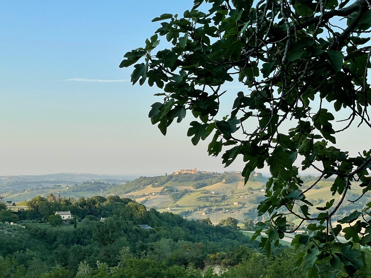 Spending time in Italy often feels like we are living in a painting. #lemarche #italy