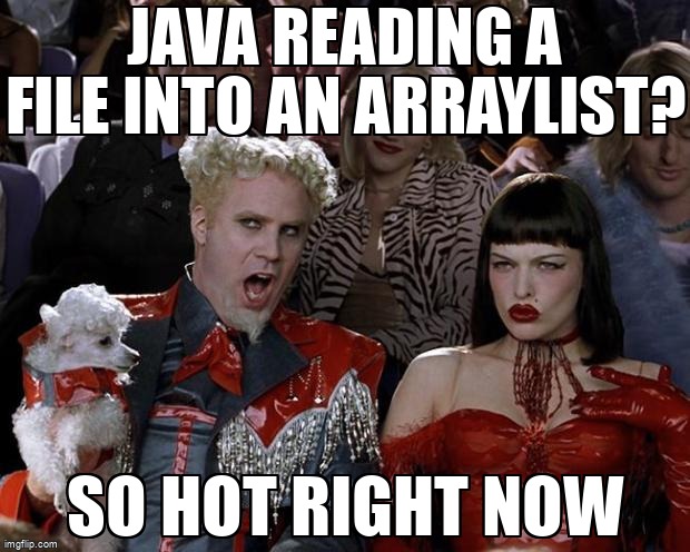 overflow_meme's tweet image. Java reading a file into an ArrayList? stackoverflow.com/questions/5343… #java #java5