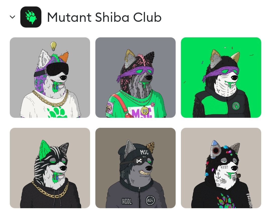 LupinTr3s's tweet photo. Feeling bullish with my pack, greatest #NFT community @MutantShibaClub let me see some beautiful Shibs.
@opensea
@LooksRareNFT @RaritySniperNFT @Coinbase_NFT
#mscfollowmsc #mutantshibaclub #msc #mutantshibafamily #NFTCommunity #shibainu #StrongerTogether #shibapack https://t.co/ExOioEAUwK