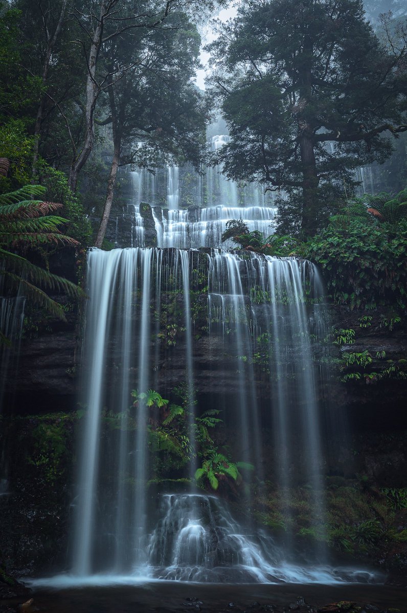 A trail of milky goodness 💧#tasmania