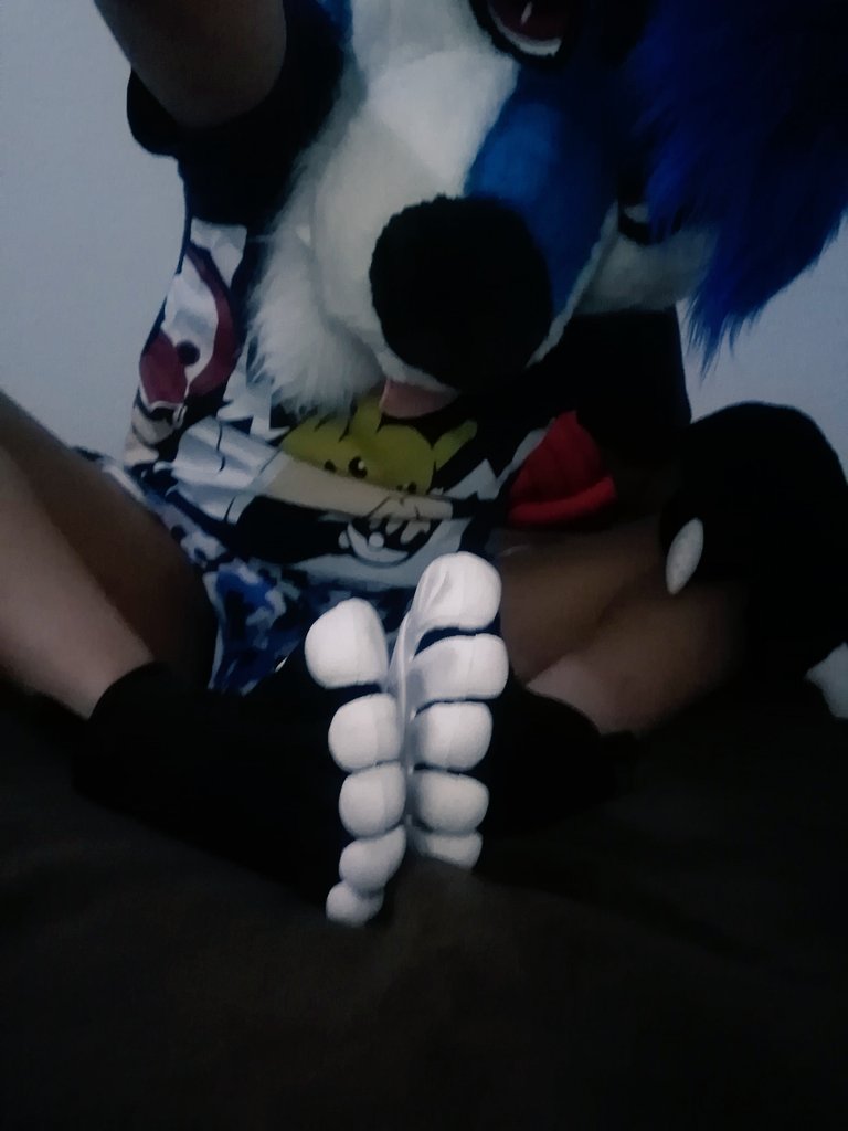 Rushky_theHusky's tweet photo. #FursuitFriday para este
#PawDay con mis #vibrams v neop https://t.co/DKvFmNiS7r