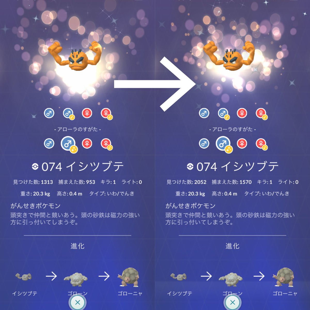 ポケモンgo イシツブテ アローラ の色違い 入手方法と実装状況 攻略大百科 ポケモンgo イシツブテ アローラ の色違い 入手方法と実装状況 攻略大百科