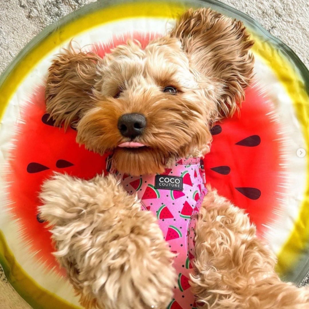 GWRetailPark's tweet photo. My face if it's sunny this weekend VS my face if rains this weekend … which will it be?

📸 @bmstores https://t.co/Dw5p19E4zU