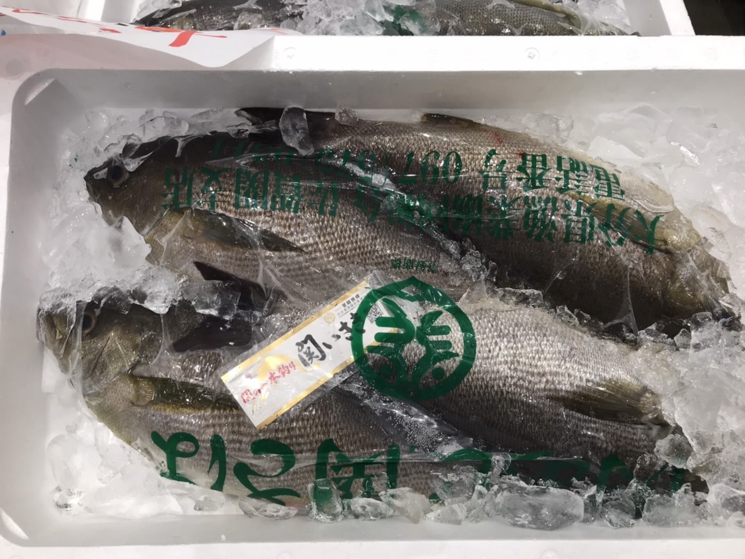 キタニ水産 提督の皆様 大分県の佐賀関から関いさきが やってきます またまた 佐賀関まで行ってまいりました 5 6月は イサキが旬まっさかりです 脂のってて めちゃくちゃ美味しい この関いさきを是非 ご賞味ください T Co Frport6ypk