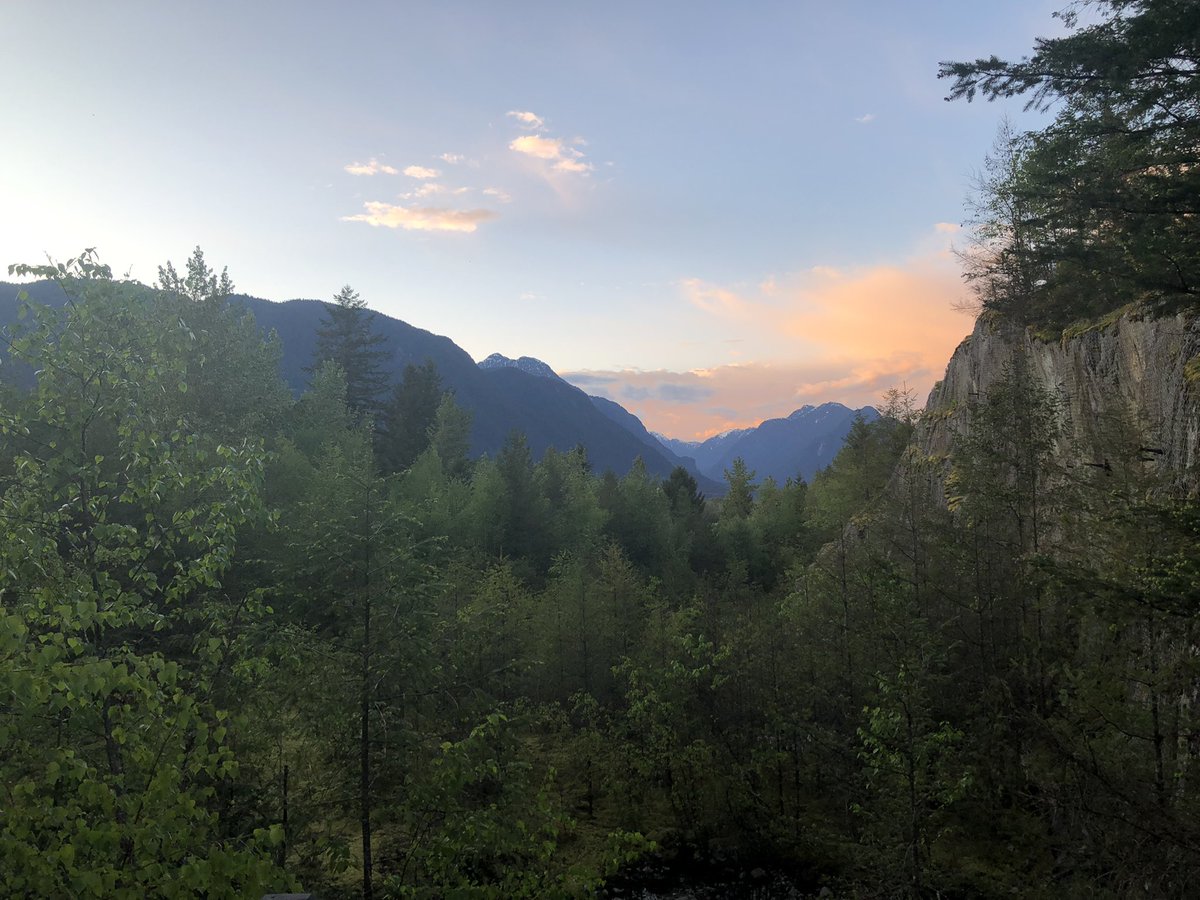 mrsharpess's tweet image. A beautiful night for @PittSecondary Grad Dinner Dance. Weather cooperated and we even had a visit from some black bears. Stay safe Class of 2022. #sd42