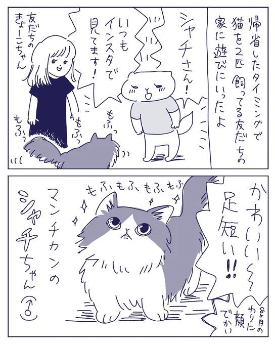友だちんちのマンチカンズに会った話を上げました🐱🐈

地元に帰って猫ちゃんズ訪問 - ヤチナツマンガ https://t.co/U87CLTXhFo 