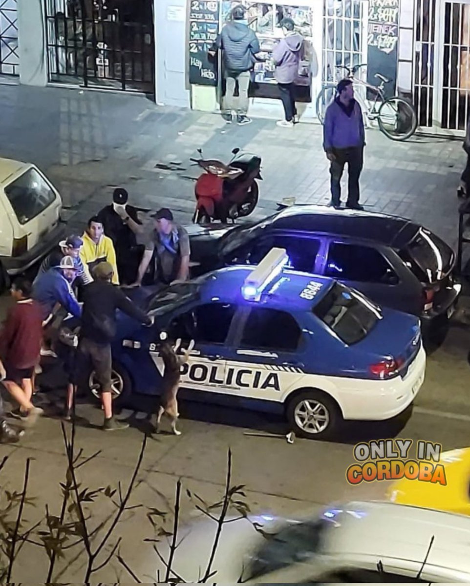Aparentemente el más complicado es firulais.