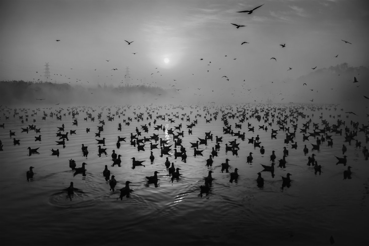sloikaxyz's tweet image. The Habitat, by @arunnalimela on @sloikaxyz 

sloika.xyz/arunkumarnalim…