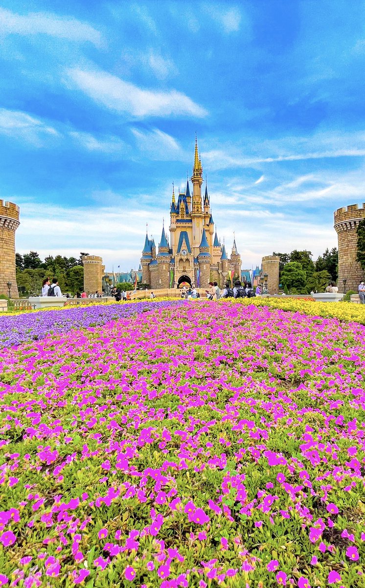 Dis_fumiyaaa's tweet photo. 久々に平日Disneyしたけど人少なすぎて素晴らしい写真がいくつか撮れてしまったよ。

#Disney #disney #DisneyLAND #disneyland #シンデレラ城 #photo #カメラ #camera #Cinderella #castle #カメラ好きな人と繫がりたい #ディズニー好きな人と繋がりたい #写真が好きな人と繋がりたい https://t.co/tJq7mTcfLE