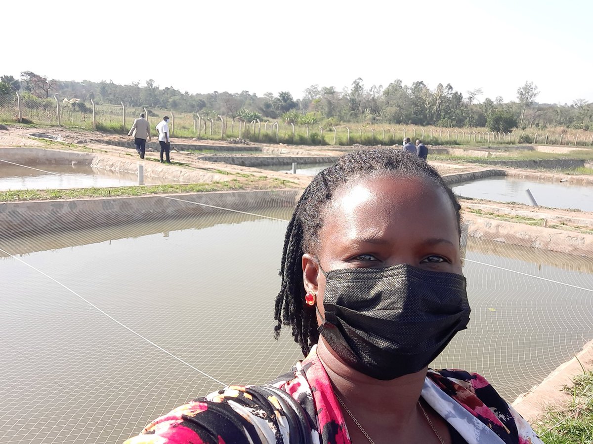I was impressed by the #shea nut value addition research work <a href="/narouganda/">NARO Uganda</a> Ngetta ZARDI in Lira, district. Also impressive investment in #Aquaculture research. <a href="/MAAIF_Uganda/">MAAIF 🇺🇬</a> @MukonoZardi <a href="/ElongTina/">Christine Elong</a> <a href="/VictoriaMbigidd/">Victoria Mbigidde</a> <a href="/KugonzaJane/">Jane Kugonza</a>