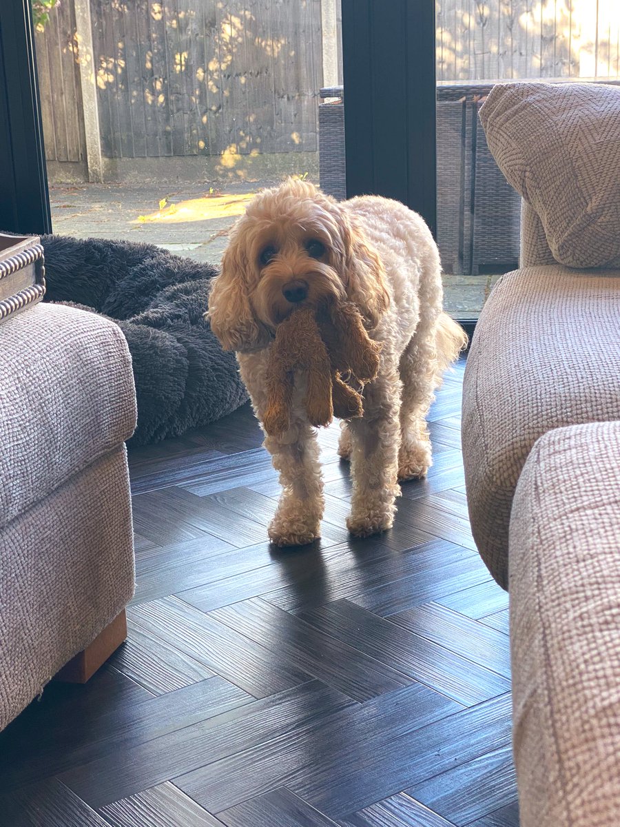 Serge Adam 🇾🇪🎗️ tweet media