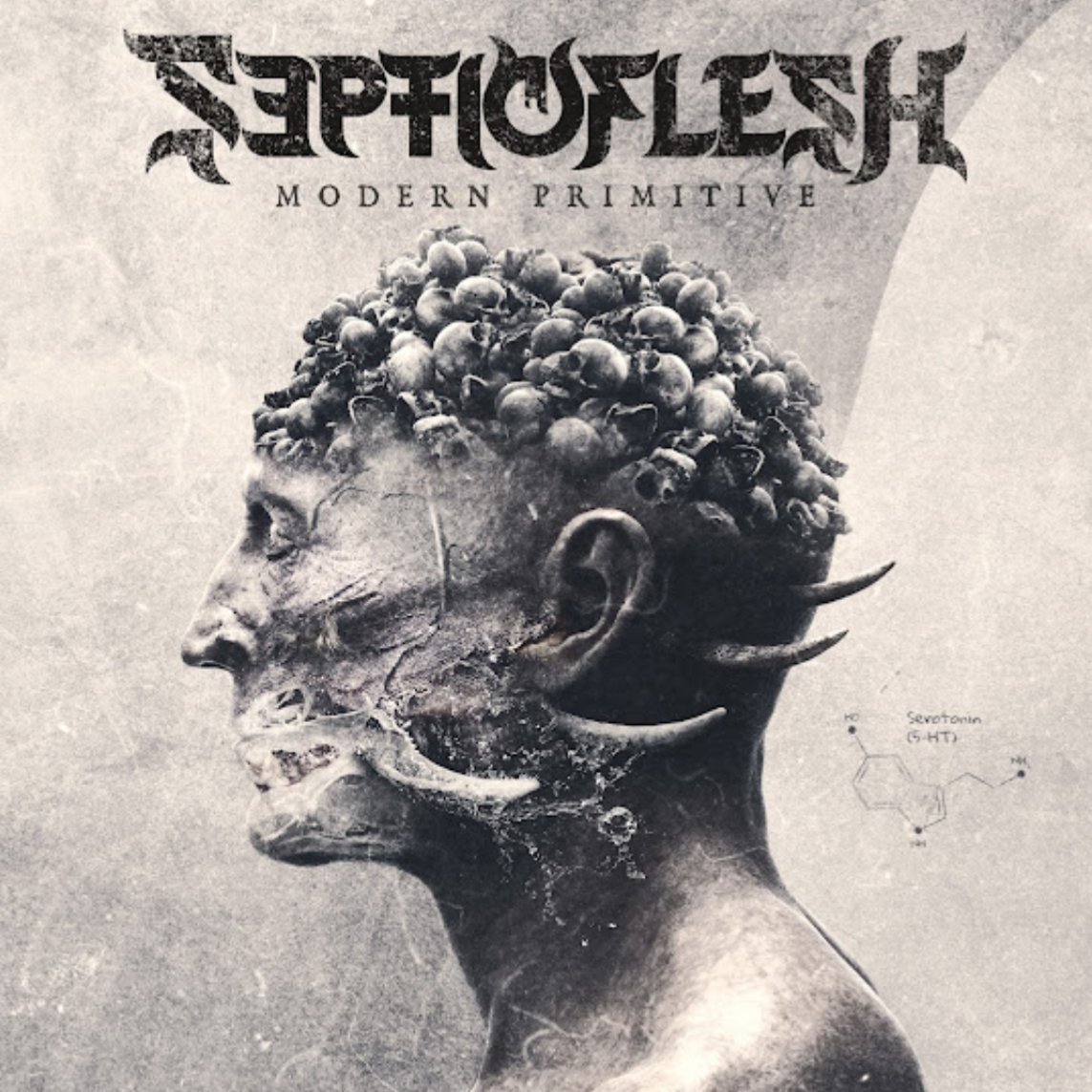 StillZos's tweet photo. #NowPlaying #NowPlayingAgain SepticFlesh - Modern Primitive, 2022
Once more with feeling...😍 https://t.co/Coja46Np19