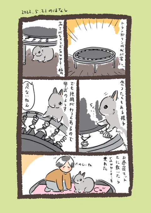 今日のrabbit…
#うさぎのいる生活 