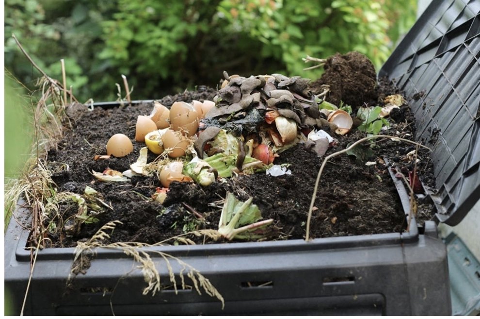 Faire son propre compost c est vraiment chouette et gratifiant voici mon nouvel article : petit-potager.com/blog/ameliorer…