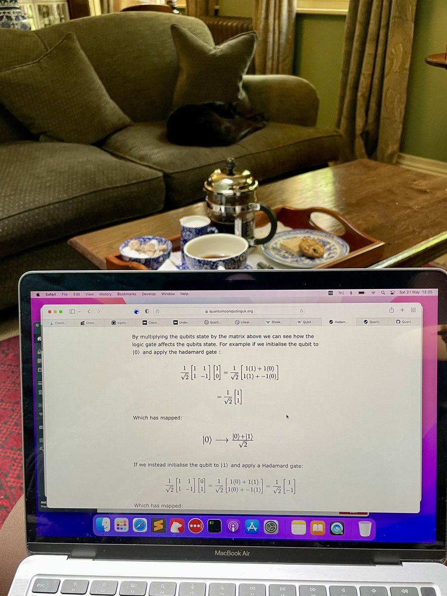 OscarSW6's tweet photo. Doing some post #sddconf revision. Feeling slightly guilty about putting stuff into superpositions this close to the hotel cat. #schroedinger https://t.co/9el21jyRS9