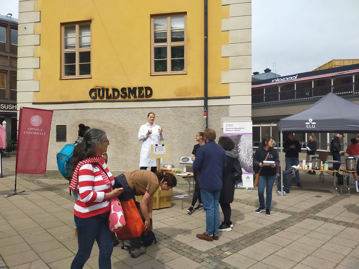 UppsalaSoapbox's tweet photo. Finally a bit of sun 😎! Our first 4 amazing @SoapboxScience speakers are doing great!! Come and join us.....there is more fun science coming!! https://t.co/Vre0w9zMl8
