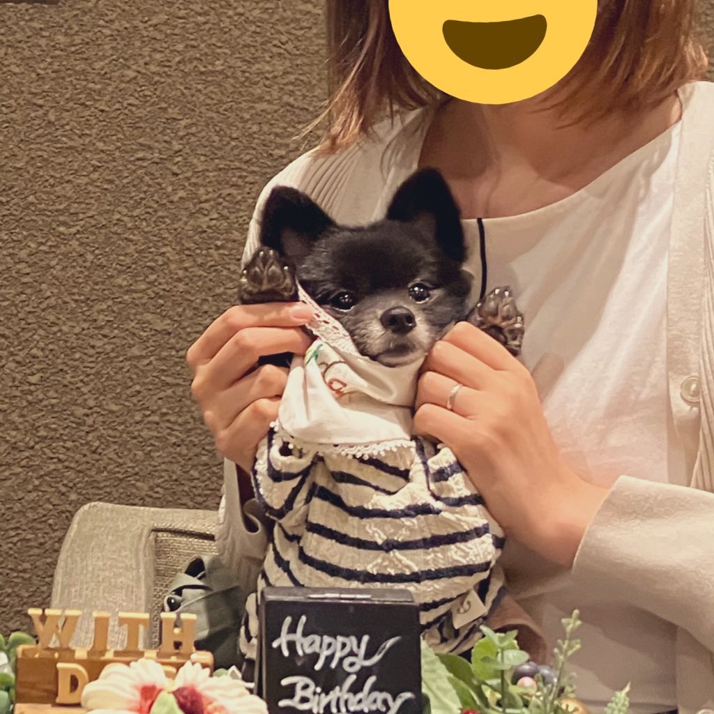oku_guri's tweet photo. 来月ひっさしぶりに夫とインすることになって今からブチアゲ⤴︎⤴︎
たぶん短時間の滞在になるけど、雰囲気と食べ物と買い物に特化して楽しみたい🥰❤️❤️
(写真はD全く関係ないうちの犬ども) https://t.co/W2EopeNYJS