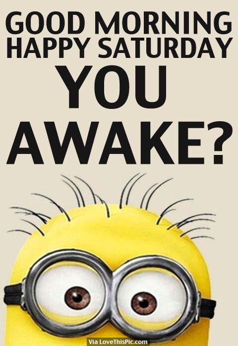 SMHatLibs's tweet photo. 😁 have blessed Saturday, Patriots ❤️🇺🇸❤️🇺🇸 https://t.co/dvob5W2cyK