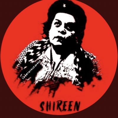 BeingSNK's tweet photo. #MaketwitterRED #whereisShireenMazari #releaseDrMazari https://t.co/HIM8jW7Uoe