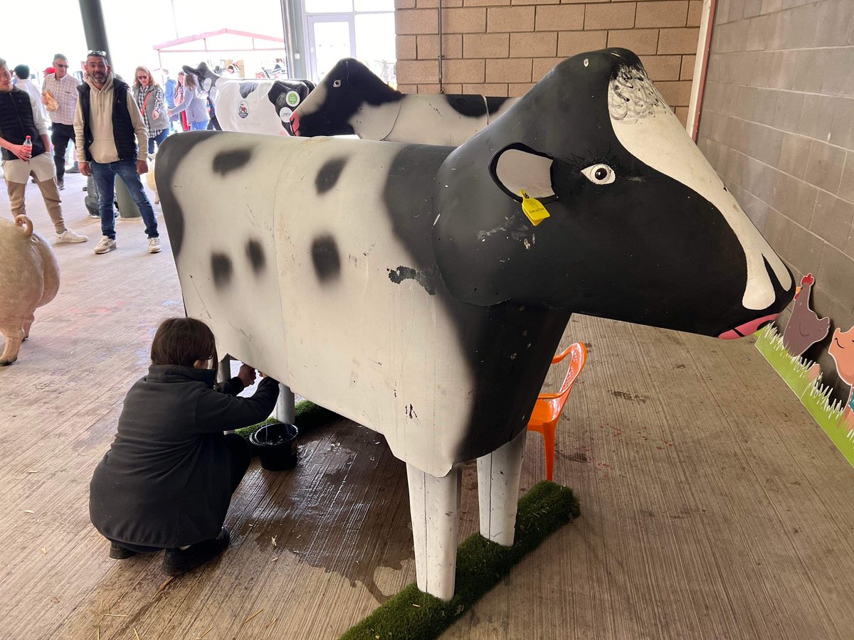 CowsOnTour tweet media