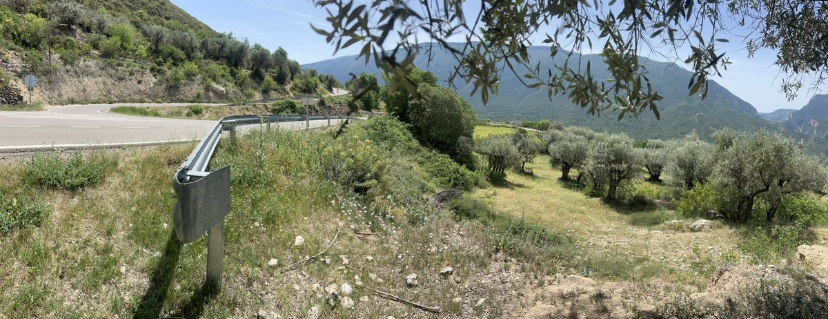 lluisdelafuente's tweet photo. No he trobat millor manera que passar el dissabte a 31*C al Sol a la cruïlla de Llimiana.

La @MontsecMontsec s’ho val!

(Després de dos anys d’absència ja es trobava a faltar) https://t.co/T2xdztwTek