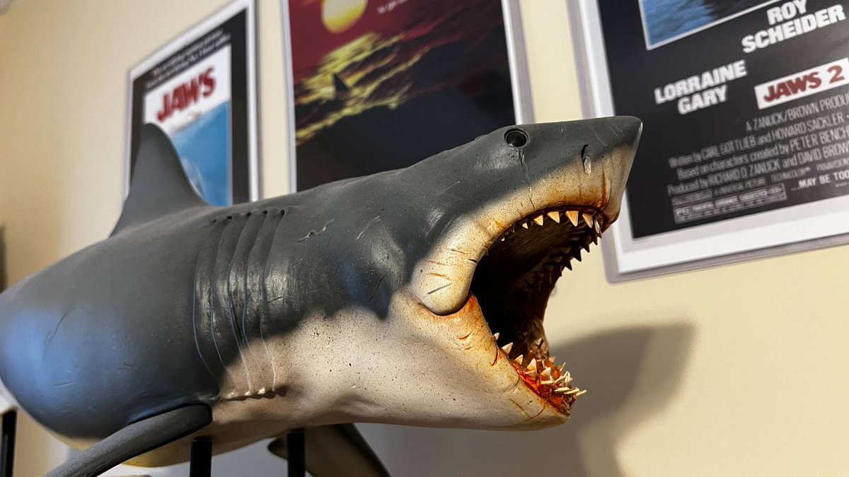 1055TheDove's tweet photo. This sounds like the perfect setup for another "Jaws" sequel, doesn't it?  
https://t.co/2GWDtjasVL

#DoveNews #movienews #Jaws #iconicmovies #childactor #policechief #JonathanSearle #AmityIsland #OakBluff https://t.co/YaRnCkocuT