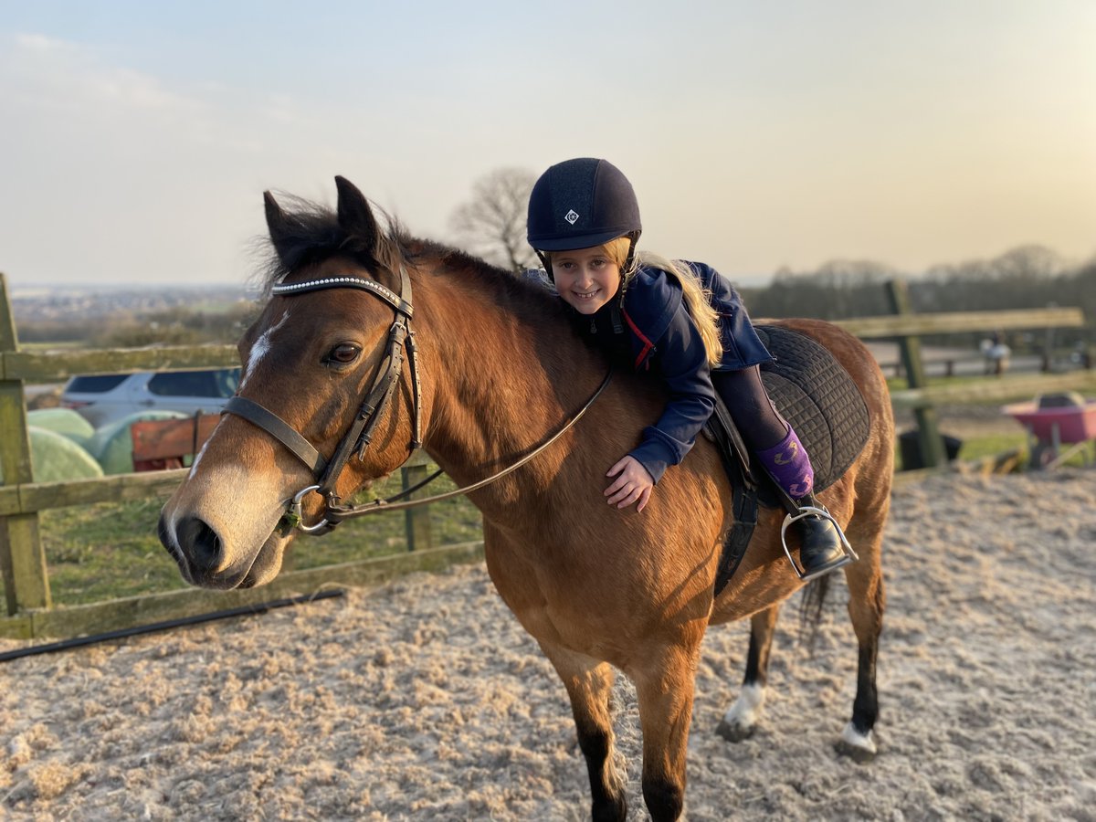BuryGrammar's tweet photo. Recently, Florence (Year 4) and her best friend Romeo mastered their first ever jump in canter. 🐴
Well done Florence! 👏🌟
#BuryGrammarSchool #BGSY4 https://t.co/nf1IbQXa37