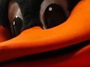 Orioles tweet picture