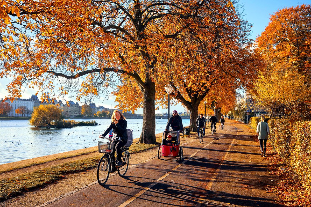 En Copenhague, muchas familias de clase media con niños, ni siquiera tienen coche, de hecho, solo el 40% de los daneses poseen un coche, frente al 95%, por ejemplo, en Estados Unidos.

Img: ‘Bicycles in Copenhagen’ por Kristoffer Trolle. 🚲🚲👏🏽