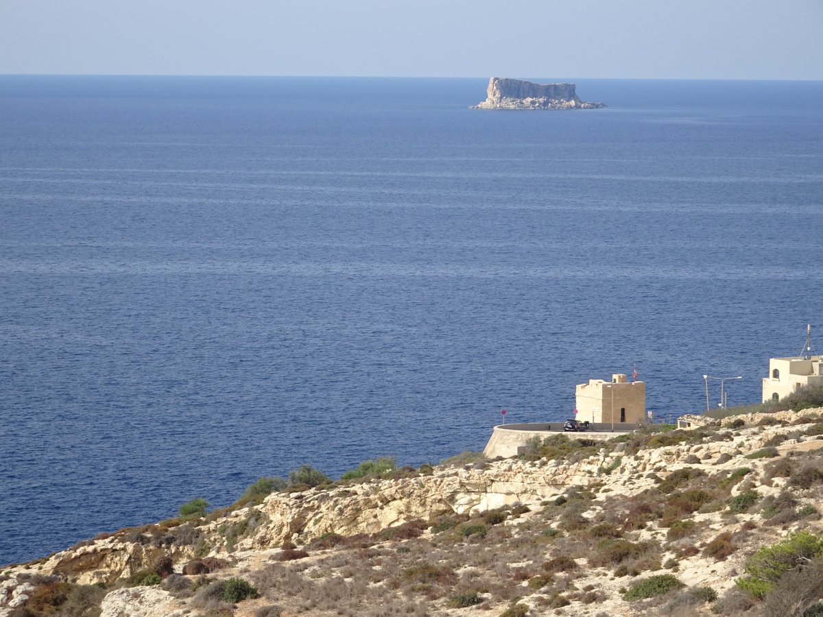 skymanuelima's tweet photo. Filfla é uma pequena, estéril e desabitada ilhota a 5 km de Malta, e a + meridional das Ilhas Maltesas, o arquipélago de Malta. Pertence à cidade de Żurrieq. O nome é derivado do filfel, do árabe para 1 pimenta-preta. #Filfla foi declarada santuário de aves em 1980. #Ilha #Malta https://t.co/dVN4pvvCs4