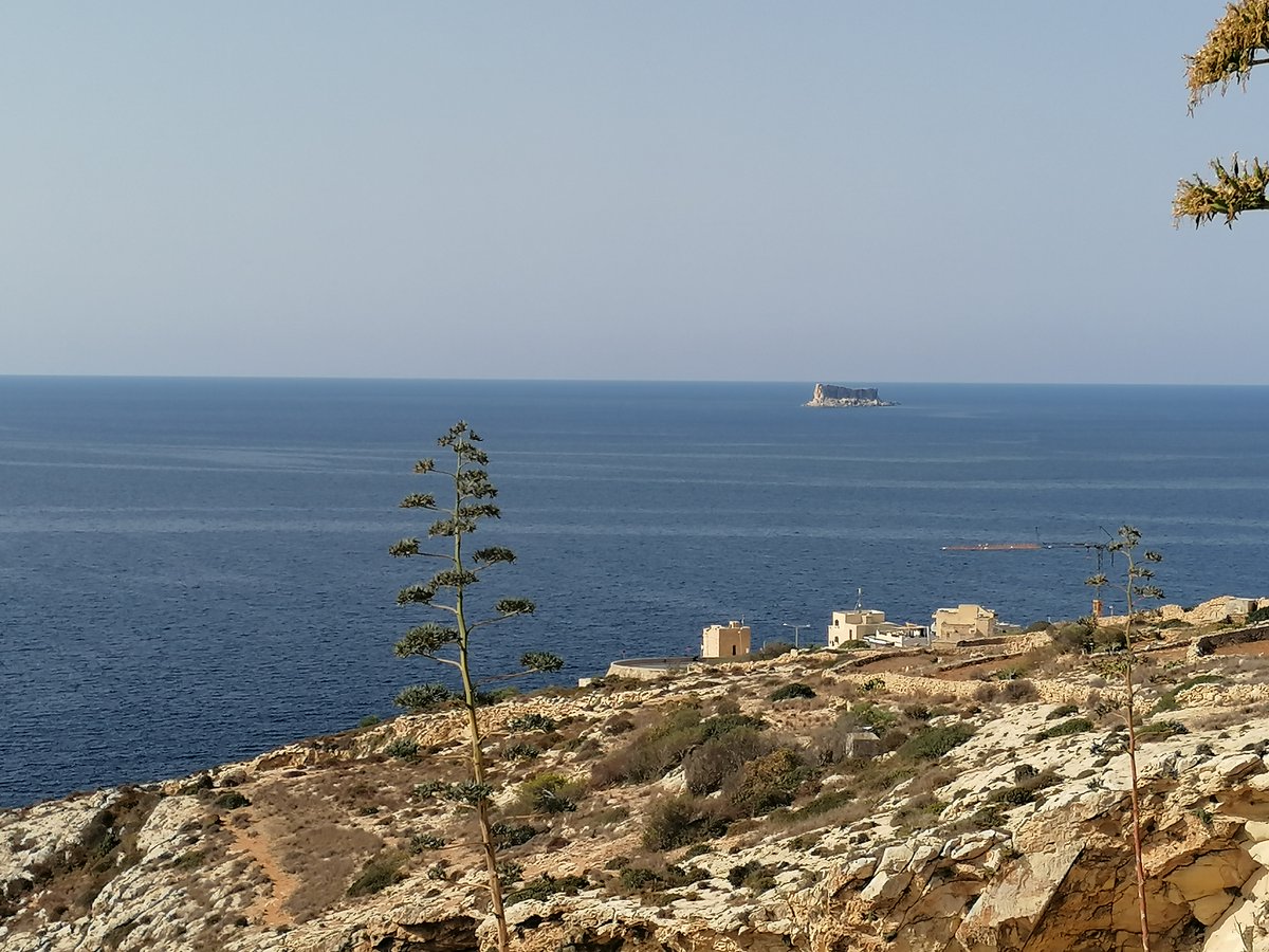 skymanuelima's tweet photo. Filfla é uma pequena, estéril e desabitada ilhota a 5 km de Malta, e a + meridional das Ilhas Maltesas, o arquipélago de Malta. Pertence à cidade de Żurrieq. O nome é derivado do filfel, do árabe para 1 pimenta-preta. #Filfla foi declarada santuário de aves em 1980. #Ilha #Malta https://t.co/dVN4pvvCs4