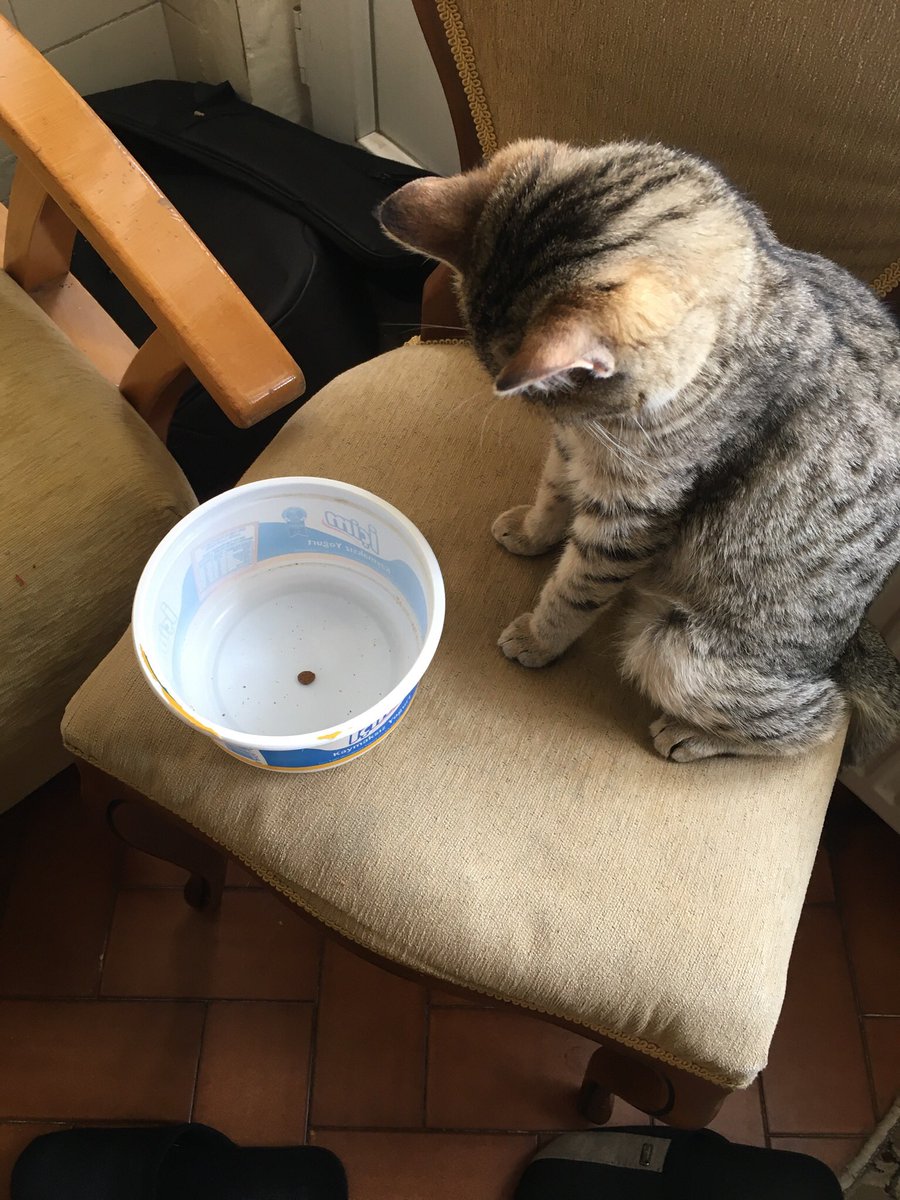 Oy vermeden önce düşünecektin