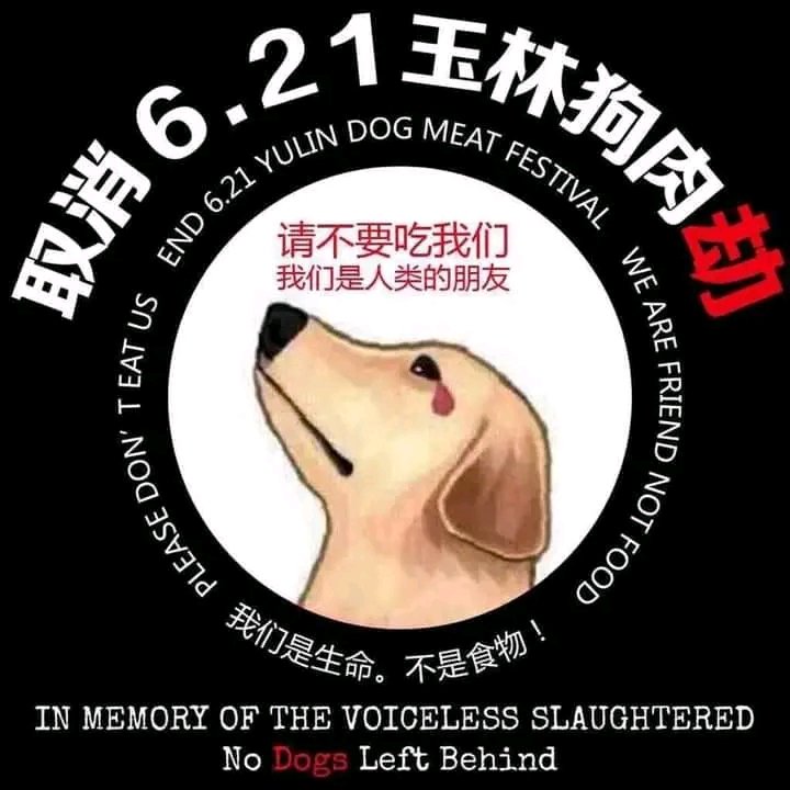 MarttaOn's tweet photo. #stopDCMT! #stopYulinforever! https://t.co/pSNwvlN5ex