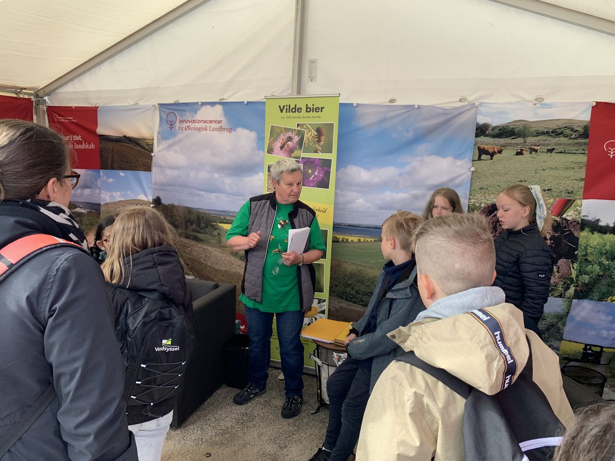 vildebier's tweet photo. Celebrated the #WorldBeeDay at the #naturmøde yesterday by holding a quiz about #wildbees for the school children. Thanks to Innovationscenter for Økologisk Landbrug for providing a home for our activities! https://t.co/NRYGX6ewt3