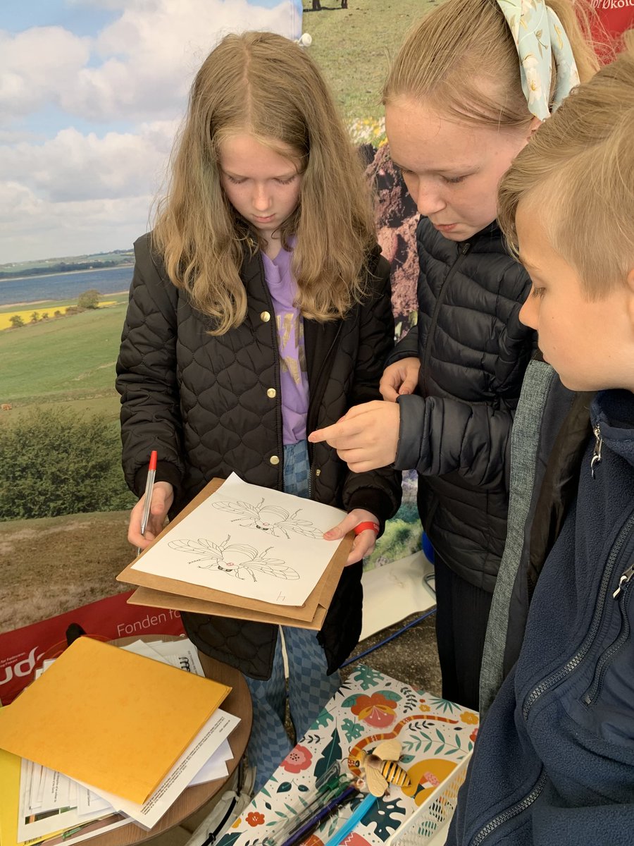 vildebier's tweet photo. Celebrated the #WorldBeeDay at the #naturmøde yesterday by holding a quiz about #wildbees for the school children. Thanks to Innovationscenter for Økologisk Landbrug for providing a home for our activities! https://t.co/NRYGX6ewt3