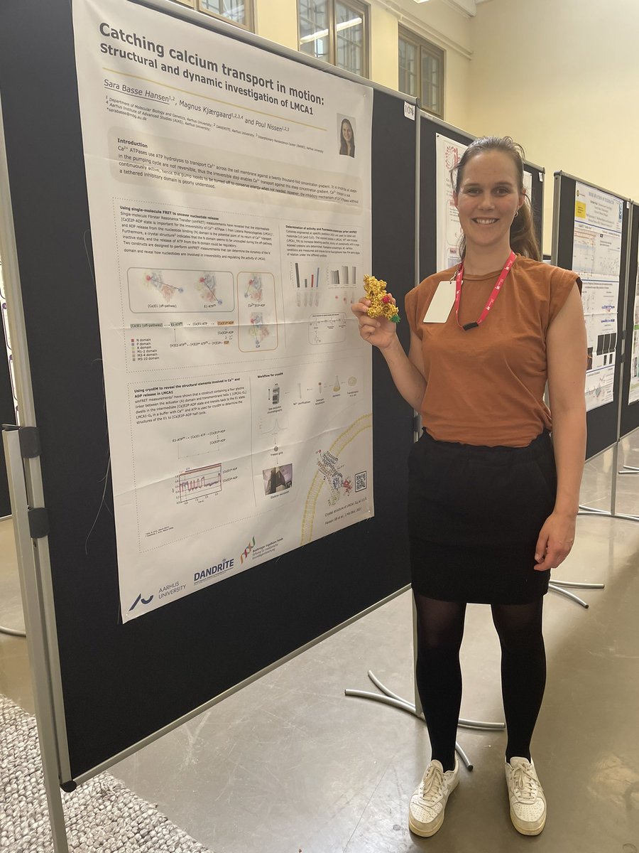 Sara Basse tweet media