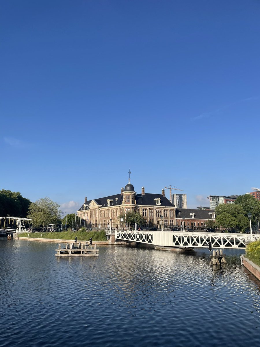 Sara Basse tweet media