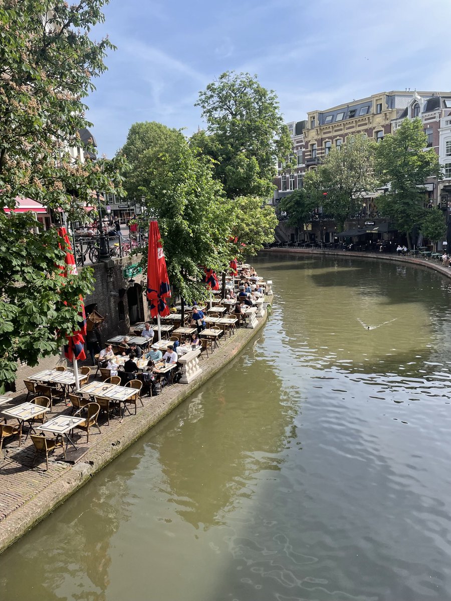 Sara Basse tweet media