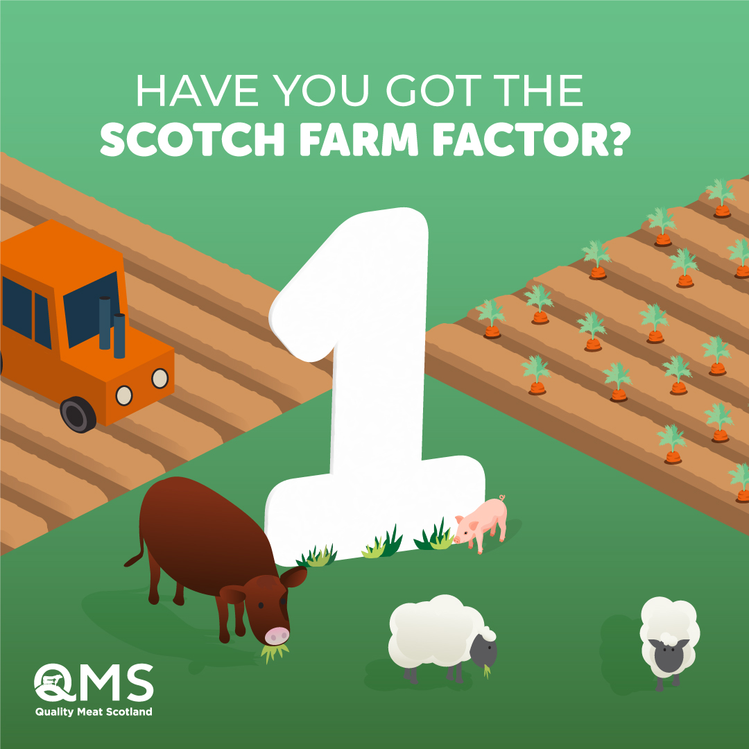 Are you a fan of herding sheep or do you prefer taking care of livestock? Maybe you like a shift in the farm shop – whatever it is, show us how you do it in your video entry to The Scotch Farm Factor before midnight tomorrow! Full T&amp;Cs on our Facebook and Instagram pages.