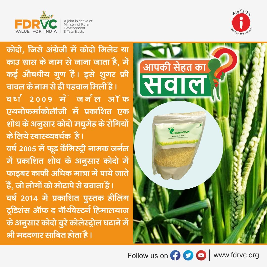 FDRVC1's tweet photo. हमारी सेहत एक तरह का निवेश है। जैसा निवेश करेंगे, रिटर्न भी वैसा ही मिलेगा। यानी जितना अच्छा खाना खाएंगे, सेहत उतनी ही अच्छी रहेगी। कोदो, जिसे अंग्रेजी में कोदो मिलेट या काउ ग्रास के नाम से जाना जाता है, इसमें कई औषधीय गुण हैं। इसे शुगर फ्री चावल के नाम से भी पहचान मिली है। https://t.co/xkBVYTjhur