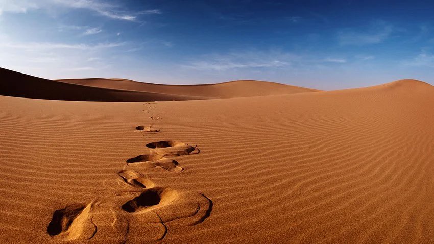 بعد 12 ساعة.. العثور على مقيم سوداني "راعي إبل" تائهاً بصحراء جنوب المهد.

sabq.org/saudia/%D8%A8%…
