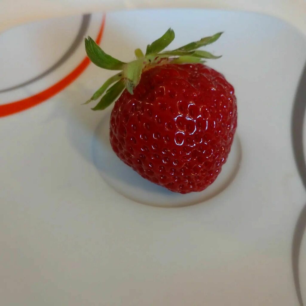 RetroC64's tweet photo. First #harvest of the year #strawberry #urbangardening #balcony #homegrown #Dortmund https://t.co/BtBVwQnwSr https://t.co/InaZsHGGNT