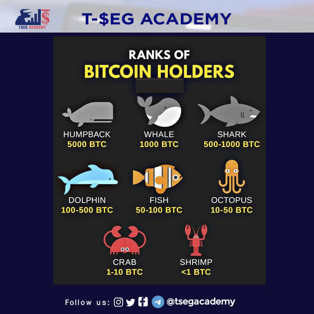 tsegacademy's tweet photo. Did you know,In crypto,bitcoin holders fall under different categories!!??

What category do you fall in??

Follow us @tsegacademy to learn more !!
#forexsignals #forex #forexeducation📚 #forexeducationuk #forextrading #forextradingtips #forextutorials #forexcourse #forexclass https://t.co/ONwBzMWvx3