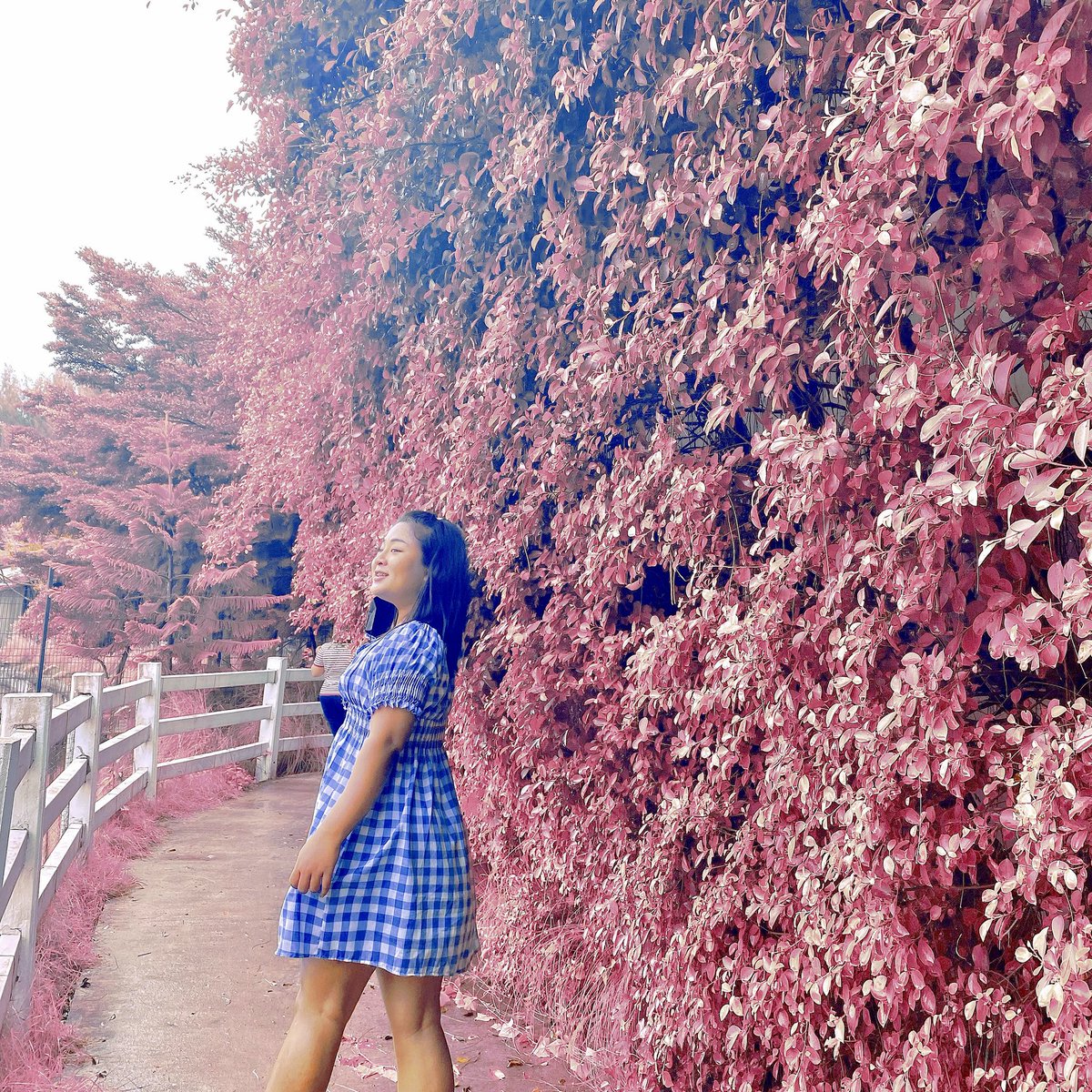 moohiizz's tweet photo. จริงๆ ฉันก็อยู่ได้และเริ่มปรับตัวได้ ...ทำให้รู้ว่า ที่ผ่านมามันคือนรก ❤️ https://t.co/aaxw2WPe0v