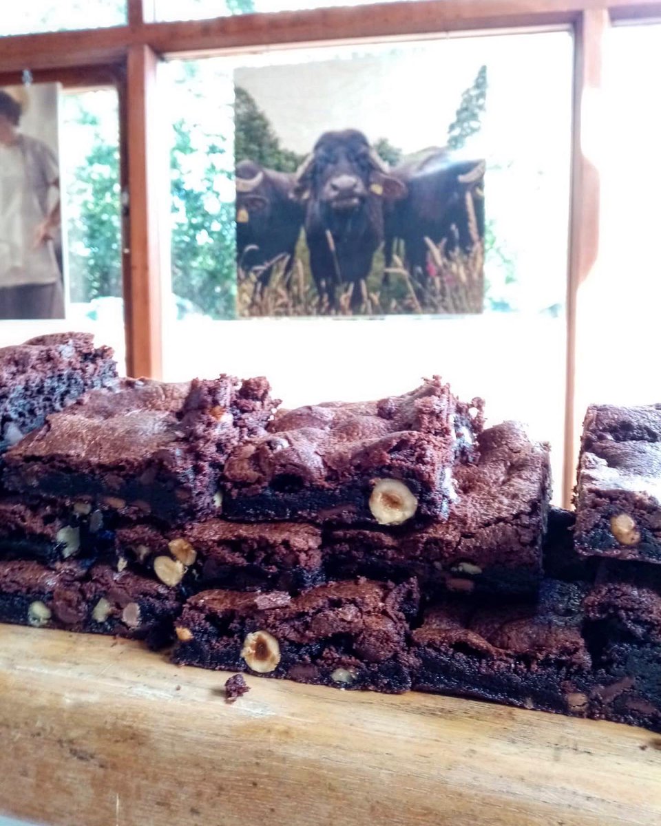 ToonsBridge's tweet image. Chunky Chocolate Brownies, Blondies and of course Pistachio Cannoli ✨ all available at our dairy shop, open today and tomorrow from 10am - 6pm 🌸

#blondies #brownies #italianstylepastry #cannoli #freshricotta #westcork #baking #ireland #toonsbridgedairy  #inchigeelagh